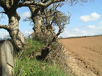 Photo Gallery Image - Views over the Parish of St Allen