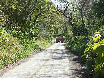 Photo Gallery Image - Country lane in the Parish