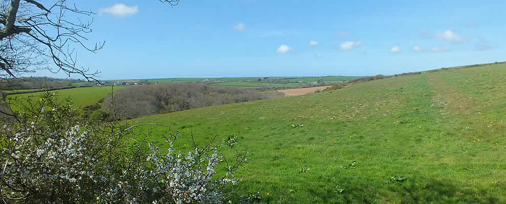 Views over St Allen Parish towards Zelah