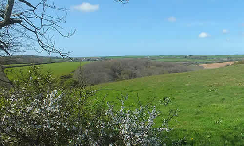 Views over St Allen Parish towards Zelah